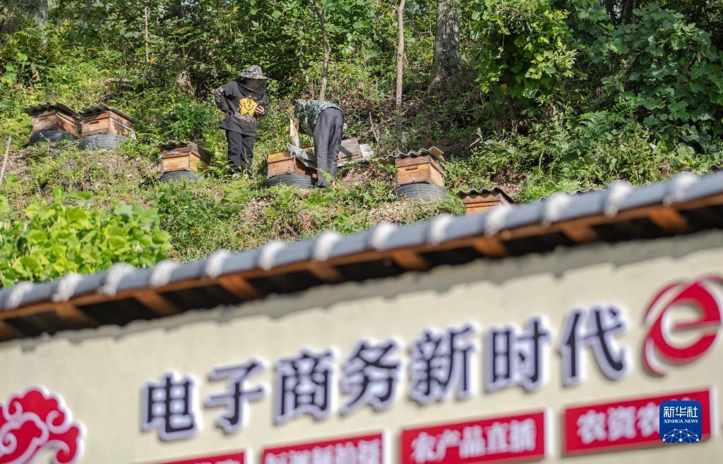 老虎机玩法水果森林